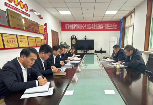 铜川分公司组织开展2022年度领导班子民主生活会.JPG
