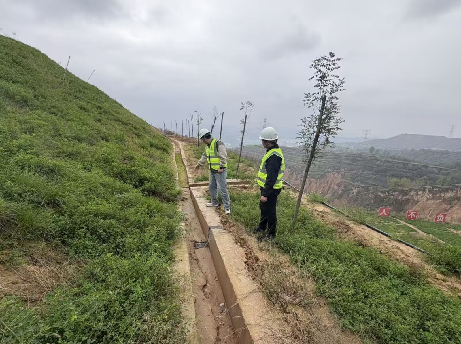 221761120007431717.jpg 221761120007431717.jpg